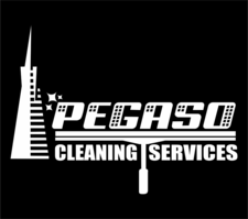 Avatar for Pegaso Cleaning Services