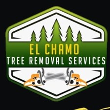 Avatar for El Chamo Service Tree Removal