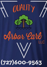 Quality Arbor Care, LLC logo