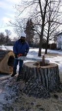 Avatar for Burley's Tree Service