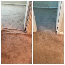Alex Carpet Repair & Installation-Unlicensed Contractor logo