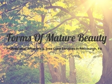 Logo for Forms of Mature Beauty, Arborist Services, LLC