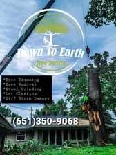 Avatar for Down To Earth Tree Service LLC - 125 Photos - Tree Cutting Service -