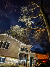 Avatar for Down To Earth Tree Service LLC - 125 Photos - Tree Cutting Service -