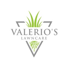 Avatar for Valerios Lawncare