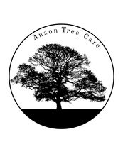 Logo for Anson Tree Care, Corp.