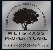 Avatar for WetGrass Property Care