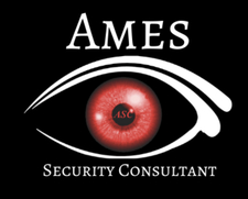Avatar for Ames Security Consulting