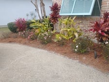 Avatar for Done It Your Way Landscaping