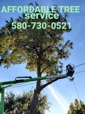 Avatar for Affordable Tree Service