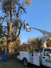 Logo for Treesome Tree Trimmers