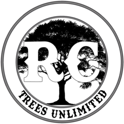 RC Services logo