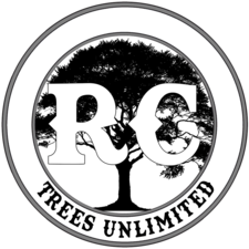 Avatar for RC Services