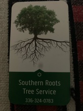Logo for Southern Roots Tree Service