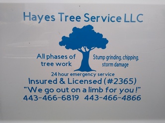 Hayes Tree Service, LLC logo