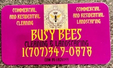 Avatar for Busy Bees Cleaning and Landscaping