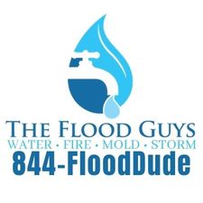 Avatar for The Flood Guys LLC