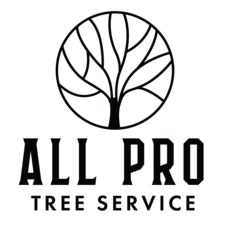 Logo for AllPro Tree Service - Home Facebook