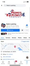 Logo for Pedro's Painting