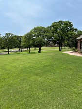 Avatar for City Lawn and Landscape