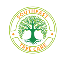Avatar for Southeast Tree Care