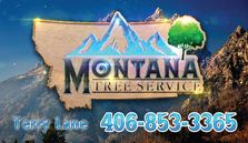 Avatar for Double T Tree Service