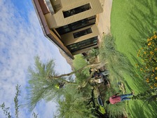 Avatar for Landscaping Express