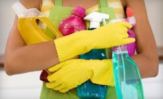 Cleaning Bee's, Inc. logo