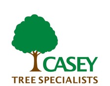 Logo for Casey Tree Specialist
