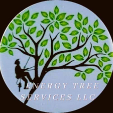 Avatar for ENERGY TREE SERVICES LLC