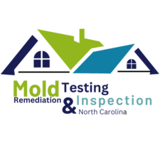 Avatar for Mold Testing & Inspection NC