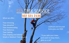 Avatar for STS Tree Services, LLC