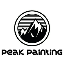 Avatar for Peak Painting