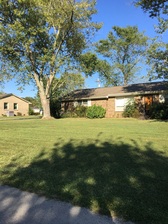 Avatar for Cole Lawncare