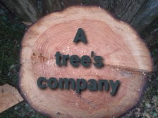 Avatar for A tree's company - Home Facebook