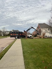 Avatar for M&M Tree Service, LLC