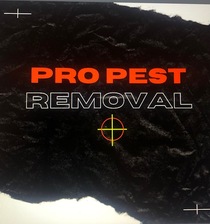 Avatar for Pro Pest Removal