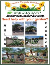 Avatar for Jennys beauty garden