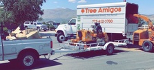 Tree Amigos logo