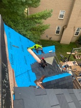 Avatar for Jose Molina