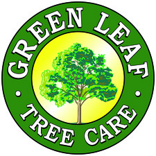GreenLeaf Tree Care - Home Facebook logo