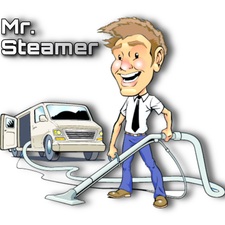 Avatar for Mr. Steamer