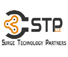 Logo for Surge Technology Partners