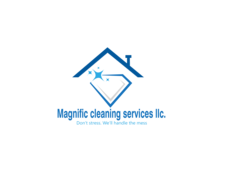 Avatar for Magnific Cleaning Services