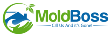 Mold Boss of Atlanta logo