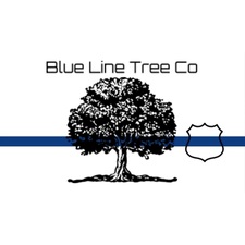 Logo for Blue Line Tree Company LLC