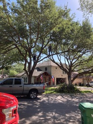 Cristian Luna Tree Service logo