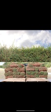 Chamosa Sod logo