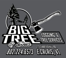 Avatar for Big Tree and Sons Logging and Tree Services - Home Facebook