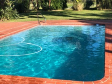Logo for Clear Blue Pool Care
